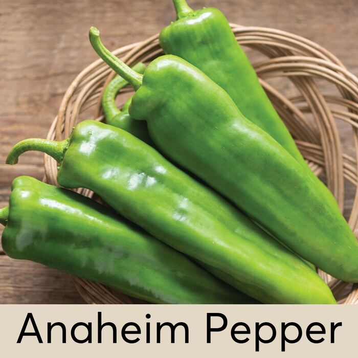 Anaheim Pepper Seed Pod