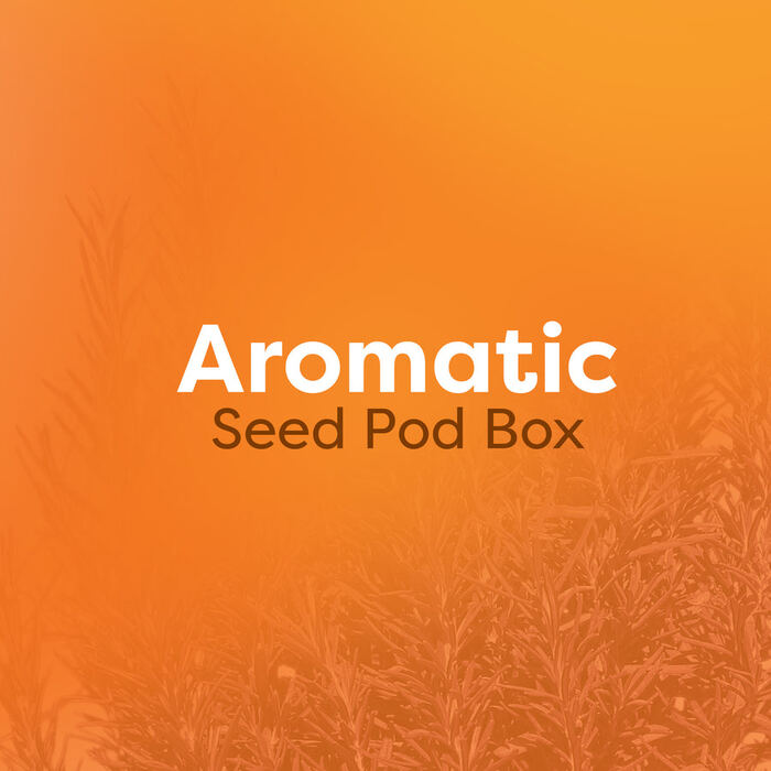 Aromatic Seed Pod Box