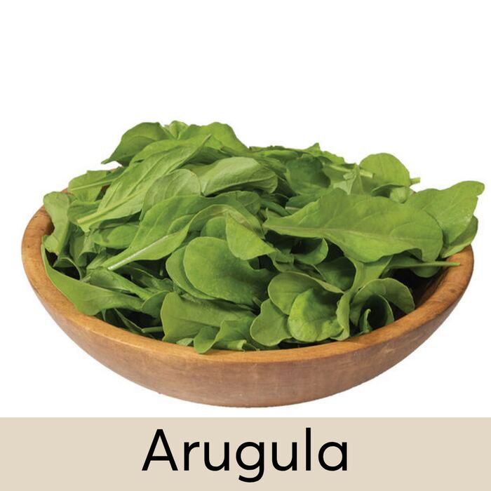 Arugula Seed Pod