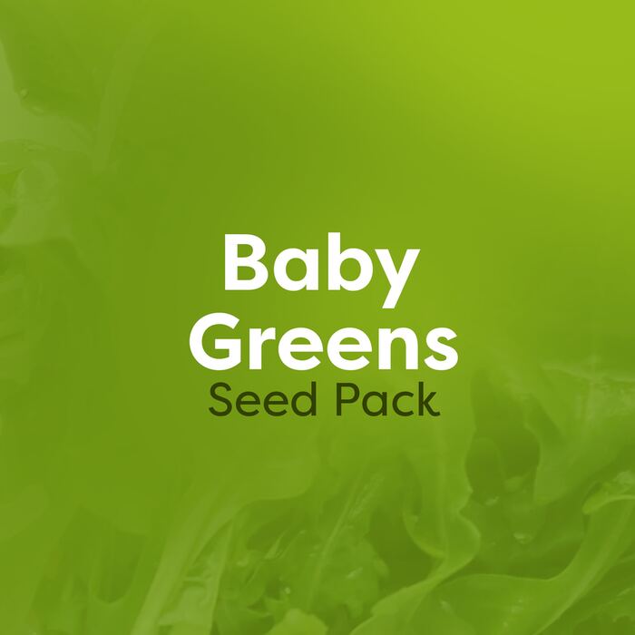 Baby Greens Seed Pack