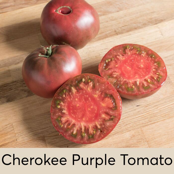 Cherokee Purple Tomato Seed Pod