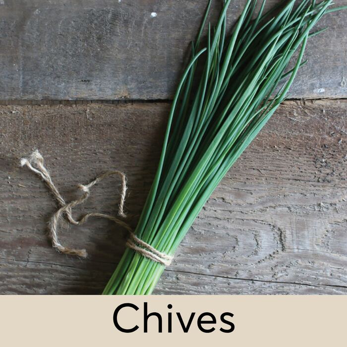 Chives Seed Pod