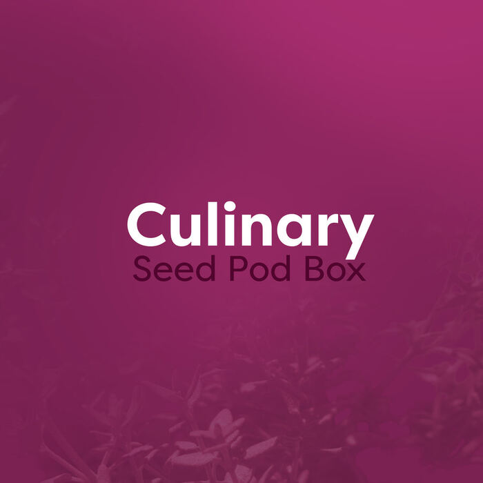 Culinary Seed Pod Box