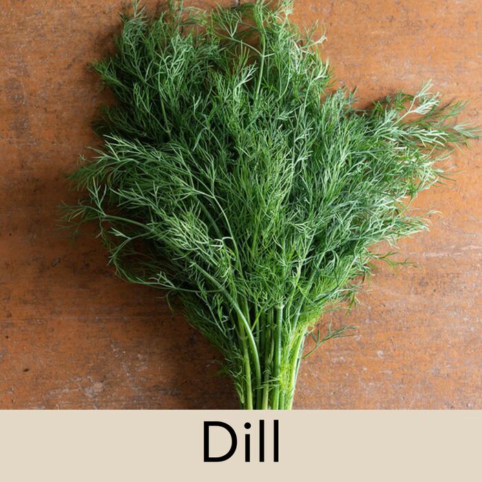 Dill Seed Pod