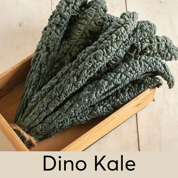 Dino Kale Seed Pod