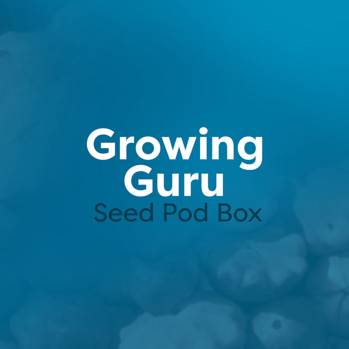 Growing Guru Seed Pod Box