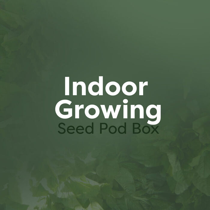 Indoor Growing Seed Pod Box