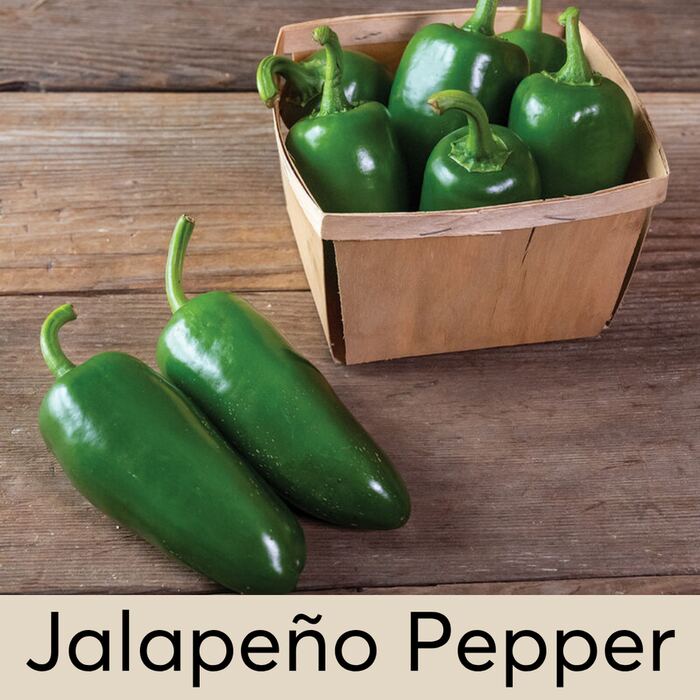 Jalapeno Pepper Seed Pod