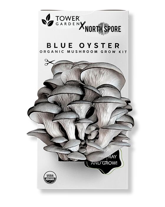 Organic Blue Oyster ‘Spray & Grow’ Mushroom Growing Kit