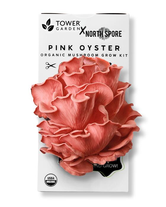 Organic Pink Oyster ‘Spray & Grow’ Mushroom Growing Kit