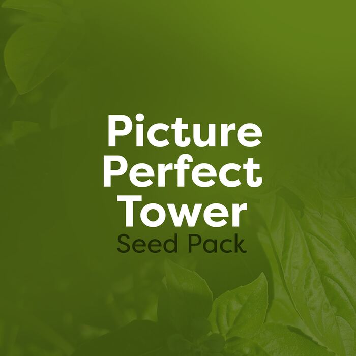 Picture Perfect Tower Seed Pack