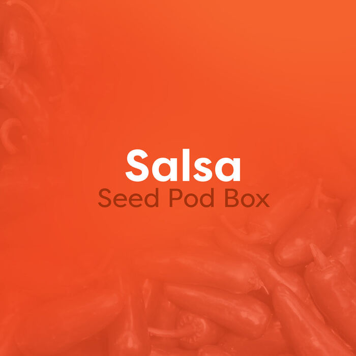 Salsa Seed Pod Box