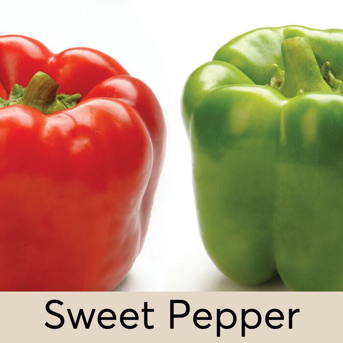 Sweet Pepper Seed Pod