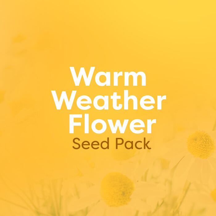 Warm Weather Flower Seed Pack